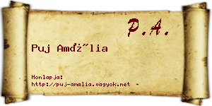 Puj Amália névjegykártya